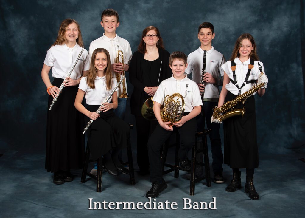 Intermediate Band