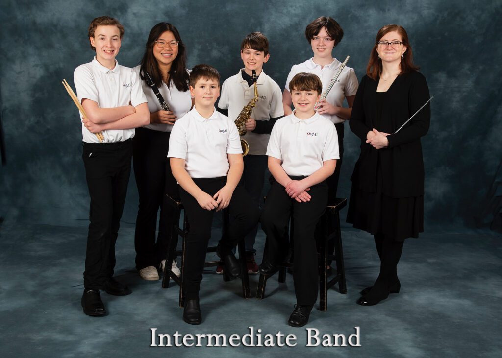 Intermediate Band
